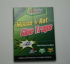 高效環(huán)保，廠家直銷——義烏綠亞環(huán)保粘鼠膠系列產(chǎn)品