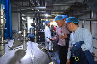 上海蜂花智能工廠投產(chǎn)，4億元投資驅(qū)動(dòng)產(chǎn)業(yè)升級(jí)與互聯(lián)網(wǎng)銷售新布局