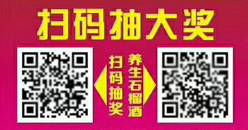 數字時代的成功印跡 個性化與專業網站建設案例解析